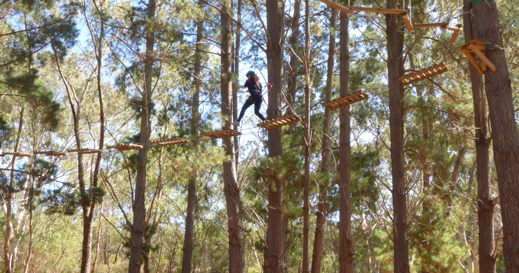 southern adventure hub - high ropes